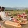 Picnic at Surval Boutique Olive Estate