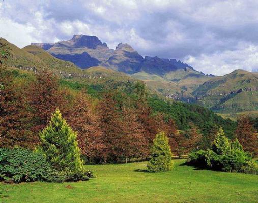 Ukhahlamba Drakensberg Park