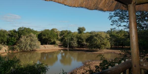 Bird hide on the estate