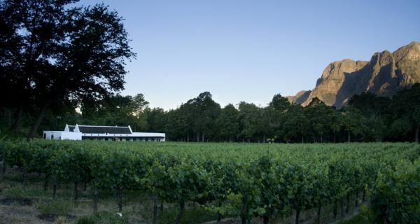 Molenvliet Wine & Guest Estate