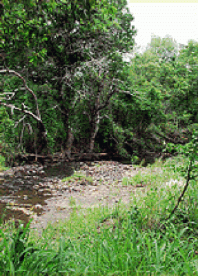 Modjadji Nature Reserve