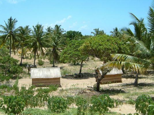 Village in Inhambane