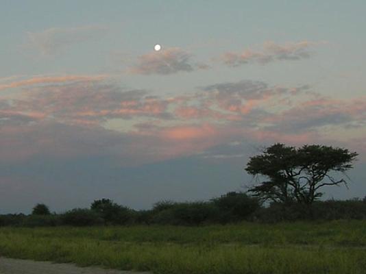 Central Kalahari Game Reserve Central Kalahari Game Reserve
