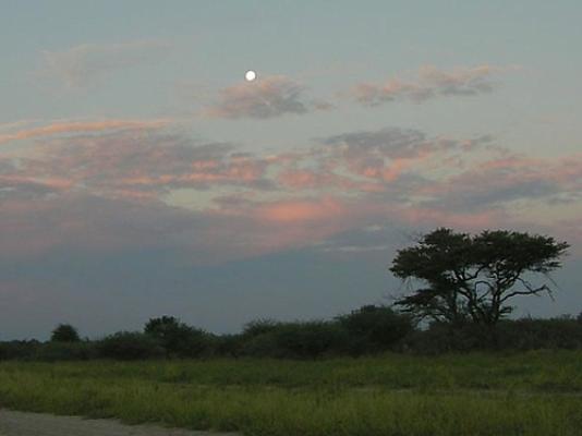 Central Kalahari Game Reserve