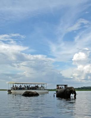 Chobe River