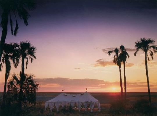 Makgadikgadi Pans Game Reserve