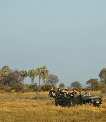 Moremi Game Reserve