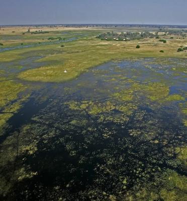 Okavango Delta Okavango Delta