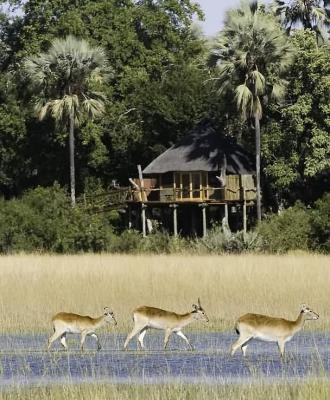 Okavango Delta