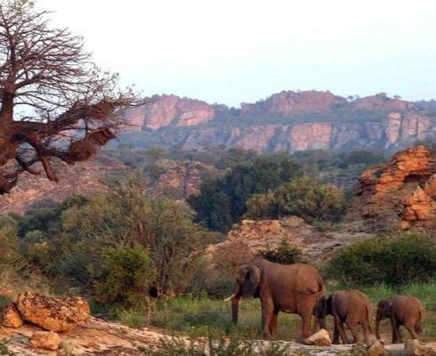 Tuli Private Game Reserve