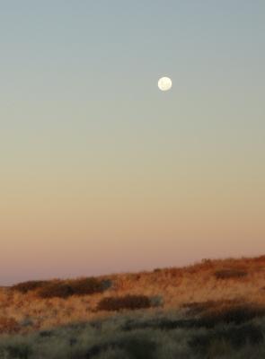 Kgalagadi