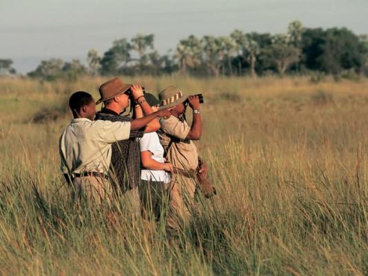 Chitabe Camp Guided Walks