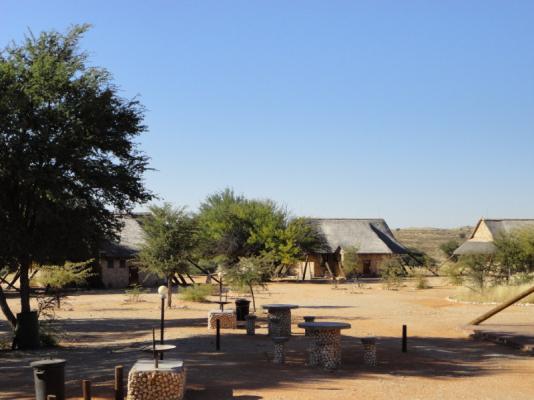 Twee Rivieren Restcamp - Kgalagadi Park