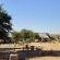 Twee Rivieren Restcamp - Kgalagadi Park