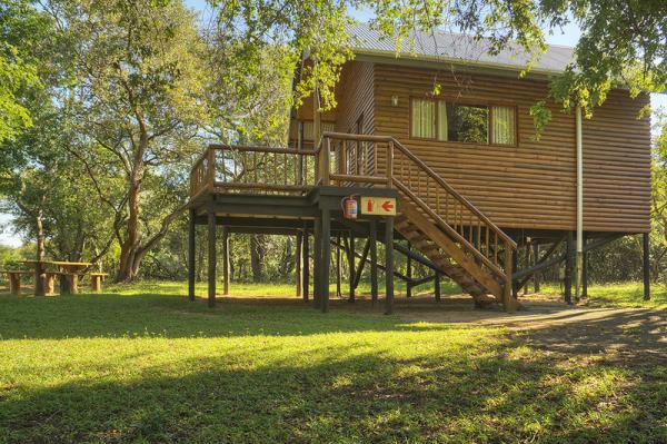 2-sleeper Tree House