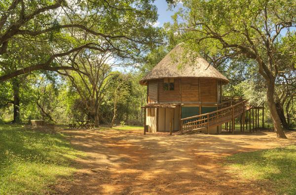 4-sleeper Tree House