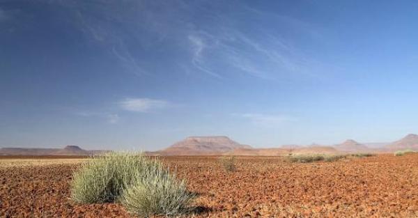 Desert Rhino Camp