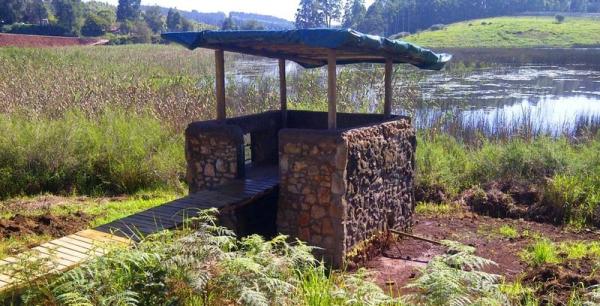 Bird Hide