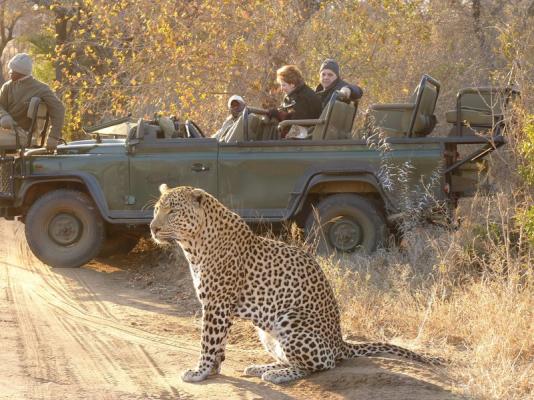 Thornybush Game Lodge