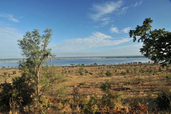 Chobe River