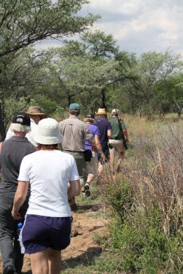 Guided Bush Walks