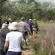 Guided Bush Walks