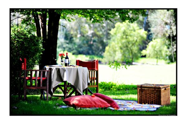 Picnic in the garden