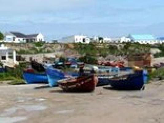 Working Fishing boats