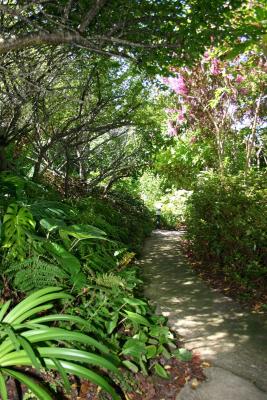 Sub-tropical garden