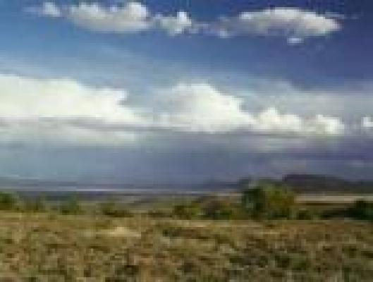 Mountain Zebra National Park Activities