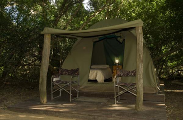 Narina Bushveld Camp