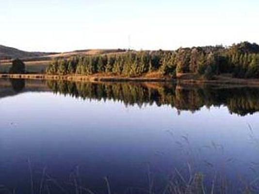 Midmar Dam Nature Reserve