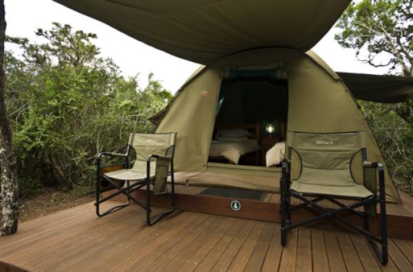 Addo Elephant Park Spekboom Tented Camp