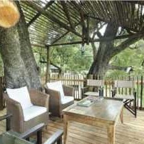 Nottens Bush Camp