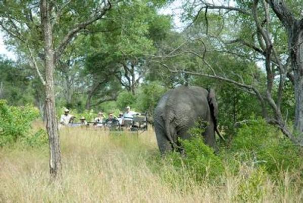 Nottens Bush Camp