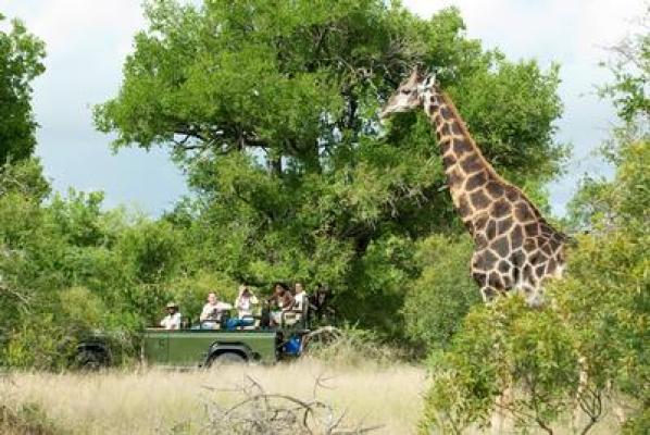 Nottens Bush Camp