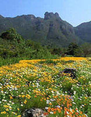 South Africa Popular Destinations