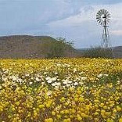 South Africa Scenic Routes