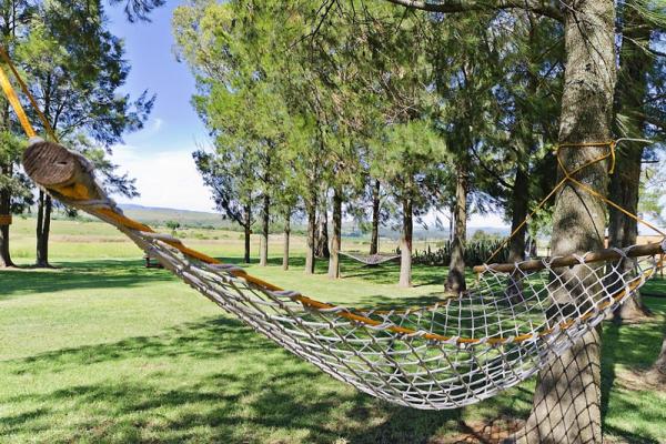 Hammock in the garden