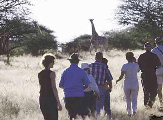 Okonjima Guest Lodge