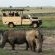 Viewing the majestic rhinos