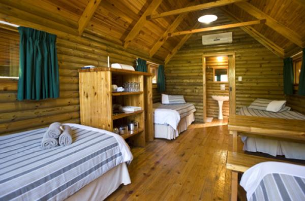 Forest Cabin Interior