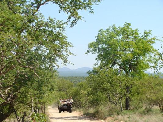 Masodini Game Lodge