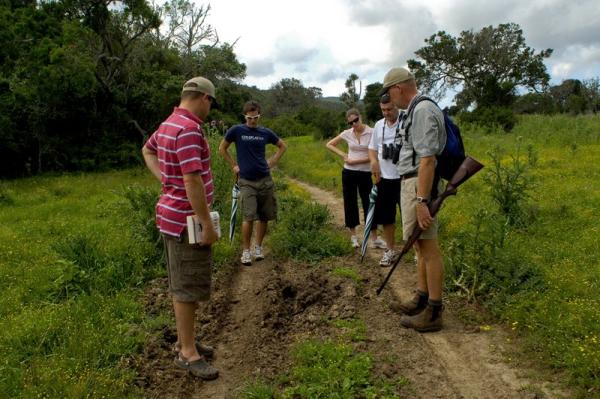 Guided walks