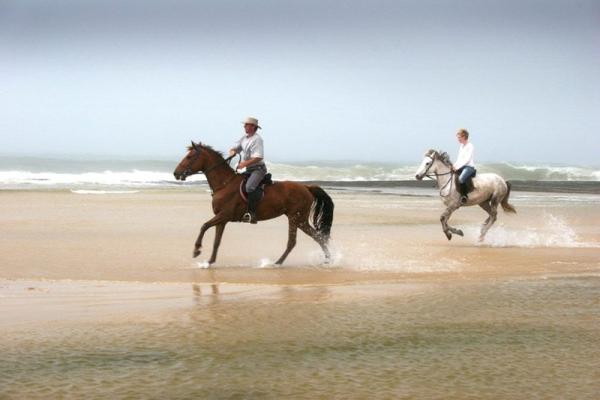 Horse riding on the beach