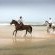 Horse riding on the beach