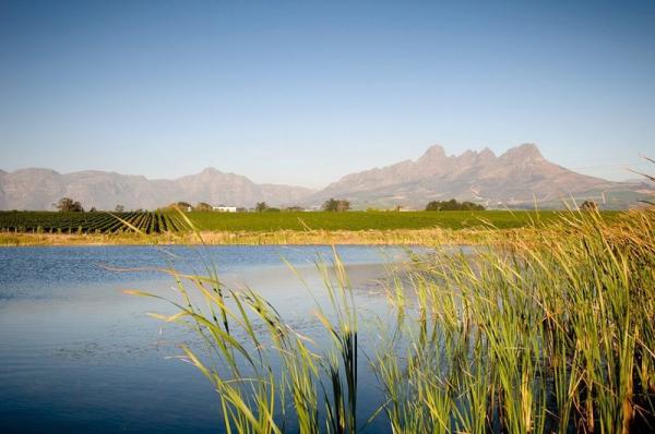 Farm Dam