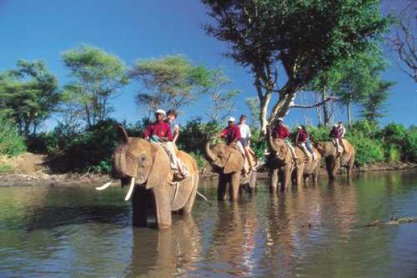 Hwange Safari Lodge