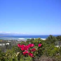 View from the terrace