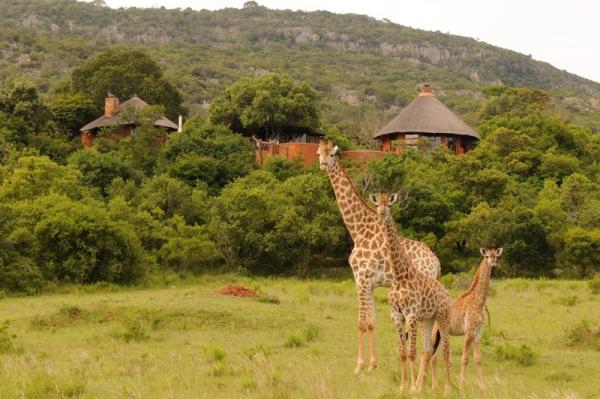 Venda Village Lodge